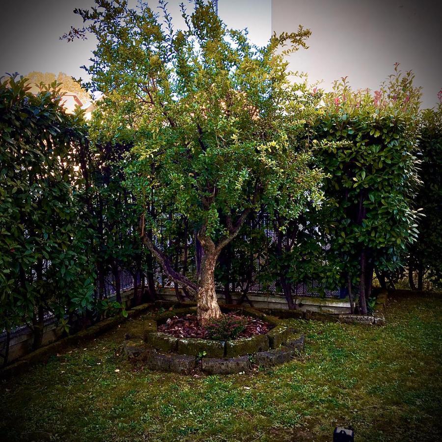 Residenza Il Fiore Bergamo Dış mekan fotoğraf