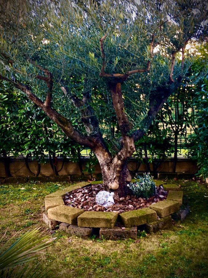 Residenza Il Fiore Bergamo Dış mekan fotoğraf