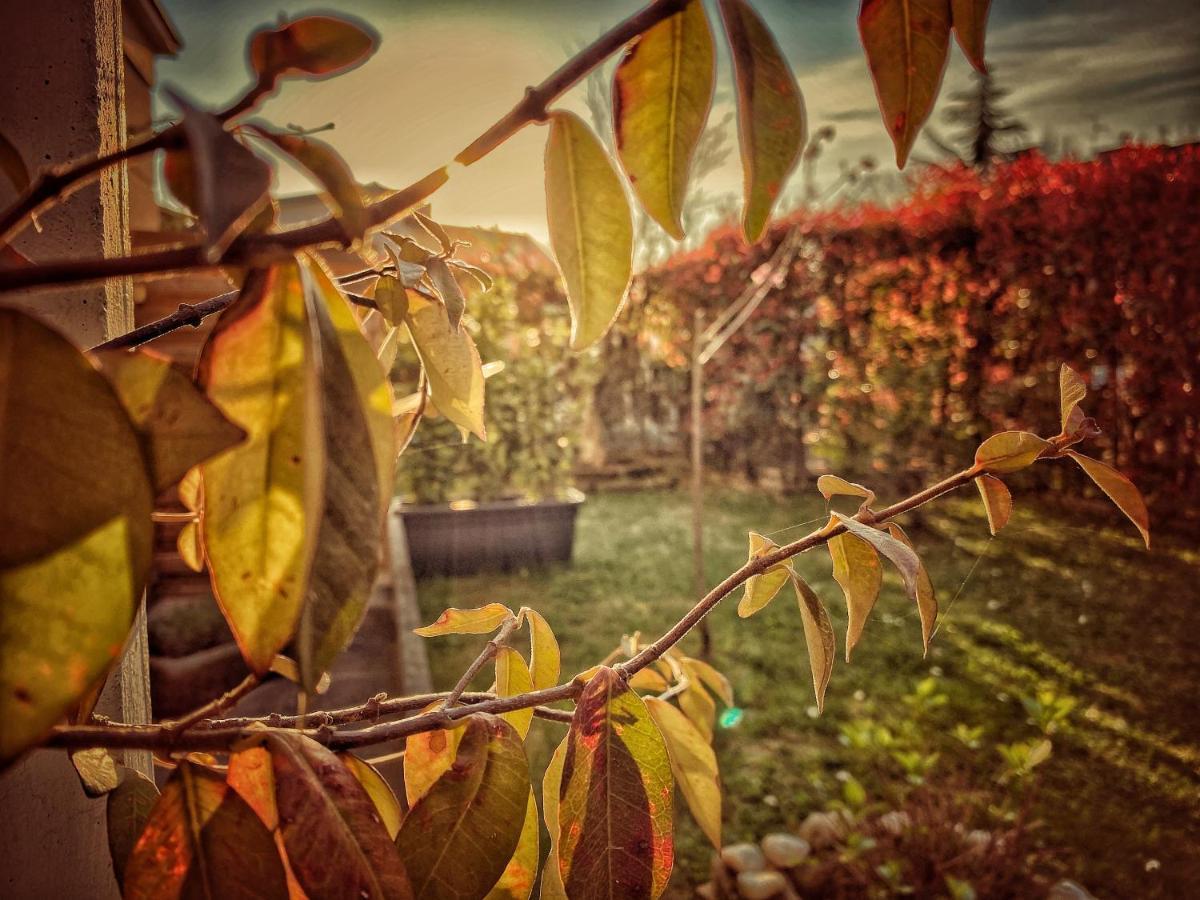 Residenza Il Fiore Bergamo Dış mekan fotoğraf
